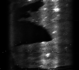 ascat_grayscale_ch2.png